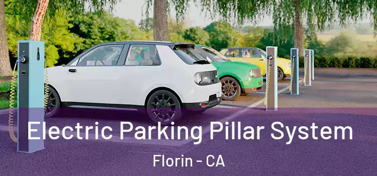 Electric Parking Pillar System Florin - CA