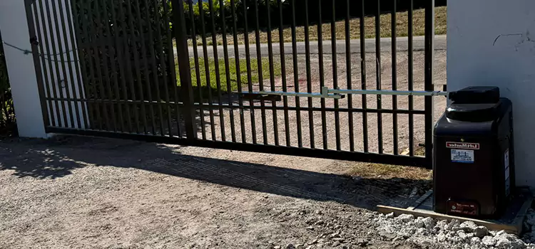 Solar Swing Gate Opener Florin